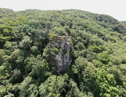 Les gardiens des gorges de la Sioule [30-07-2022](1110).jpg